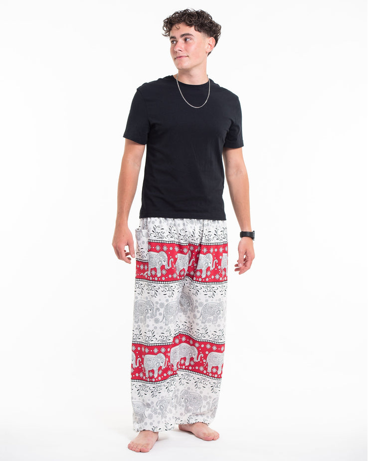 Floral Elephant Tall Harem Pants in Red