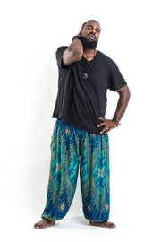 Plus Size Peacock Eye Men's Harem Pants in Turquoise