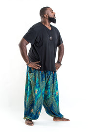 Plus Size Peacock Eye Men's Harem Pants in Turquoise